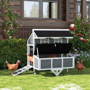 Chicken Coop - Secure & Weather-Resistant Outdoor Hen House